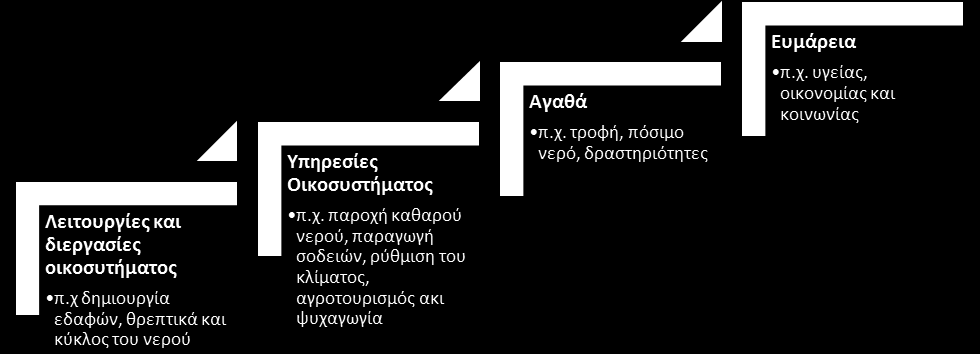 8 ΟΙΚΟΣΥΣΤΗΜΙΚΕΣ ΥΠΗΡΕΣΙΕΣ, ΟΙΚΟΝΟΜΙΚA, ΚΟΙΝΩΝΙΚA ΚΑΙ ΠΕΡΙΒΑΛΛΟΝΤΙΚΑ ΩΦΕΛΗ ΤΩΝ ΠΕΡΙΟΧΩΝ NATURA 2000 Στην Κύπρο αλλά και σε ολόκληρη την Ευρώπη, έχει καλλιεργηθεί στην κοινή γνώμη η πεποίθηση ότι, η