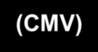 Κυτταρομεγαλοϊός (CMV) Κλινική CMV λοίμωξη Γκανκυκλοβίρη 5 mg/kg X 2 iv για 2-4 εβδομάδες Ελεγχος για εξάλειψη της ιαιμίας πριν