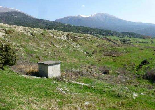 Διακρίνονται λιμνάζοντα νερά και ανάπτυξη υδροχαρών