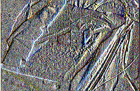 Εικόνα 2.26. Κατακόρυφη καλλιέργεια Εικόνα 2.27. Κατακόρυφες στήλες από γλάστρες φελιζόλ. φράουλας σε σάκους. Υποδοχείς από πετροβάμβακα (rockwool).