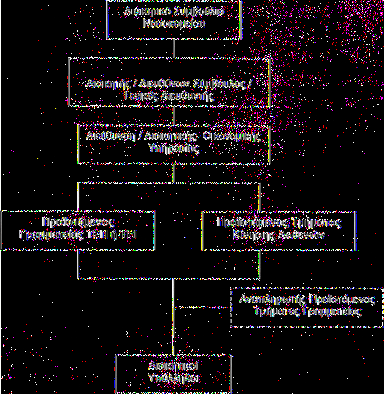 Σχήμα 6 Οργανόγραμμα Διοικητικής Υπηρεσίας ΤΜΗΜΑ