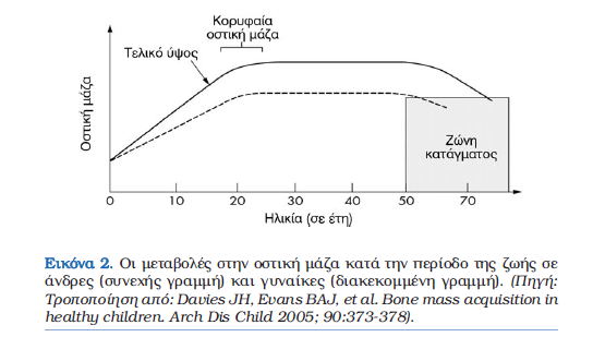 ΔΚΣΙΜΗΗ ΚΑΣΑΓΜΑΣΙΚΟΤ ΚΙΝΓΤΝΟΤ κέγηζηε αληνρή νζηώλ: νζηηθή κάδα, αξρηηεθηνληθή,