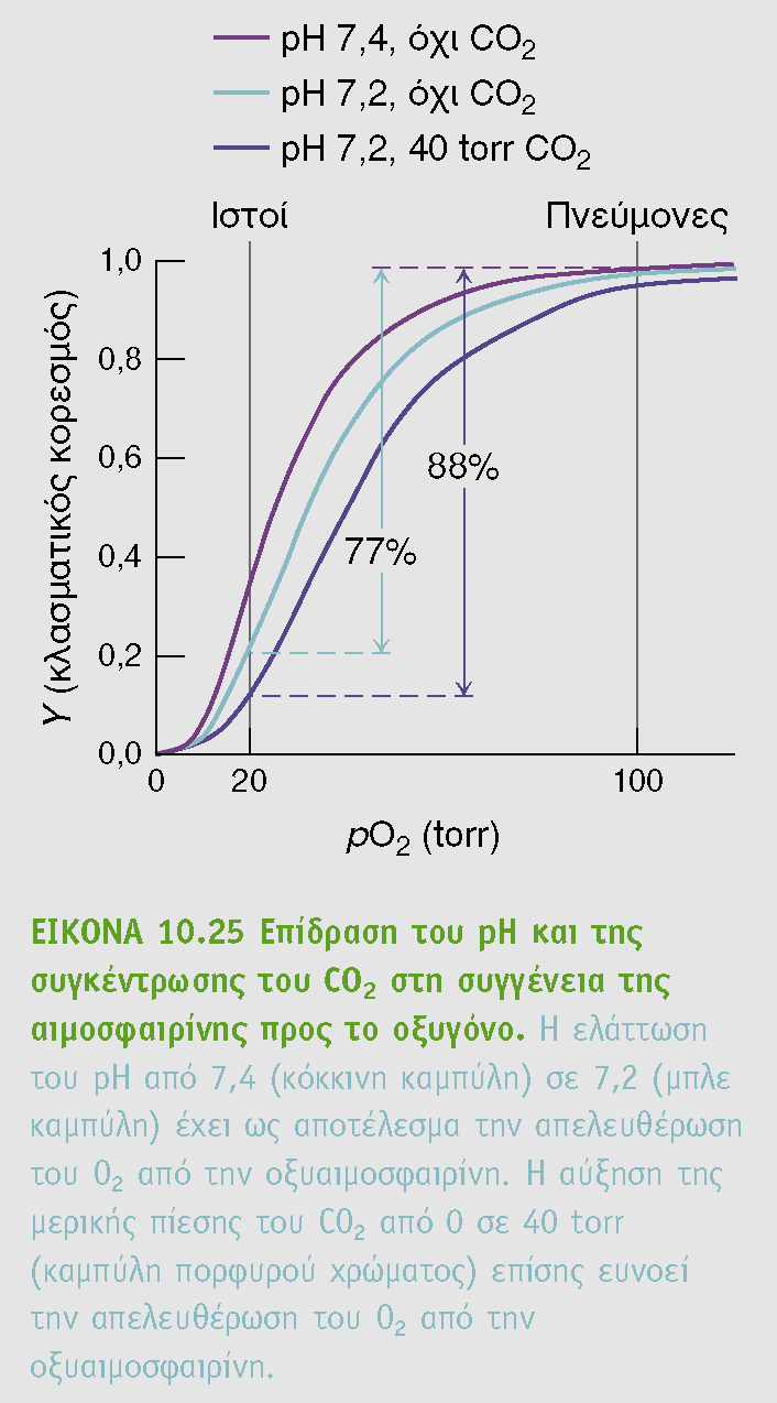 Ένα επιπλέον στάδιο ελέγχου είναι και η ποσότητα CO 2 το οποίο επηρεάζει το ph το οποίο επηρεάζει