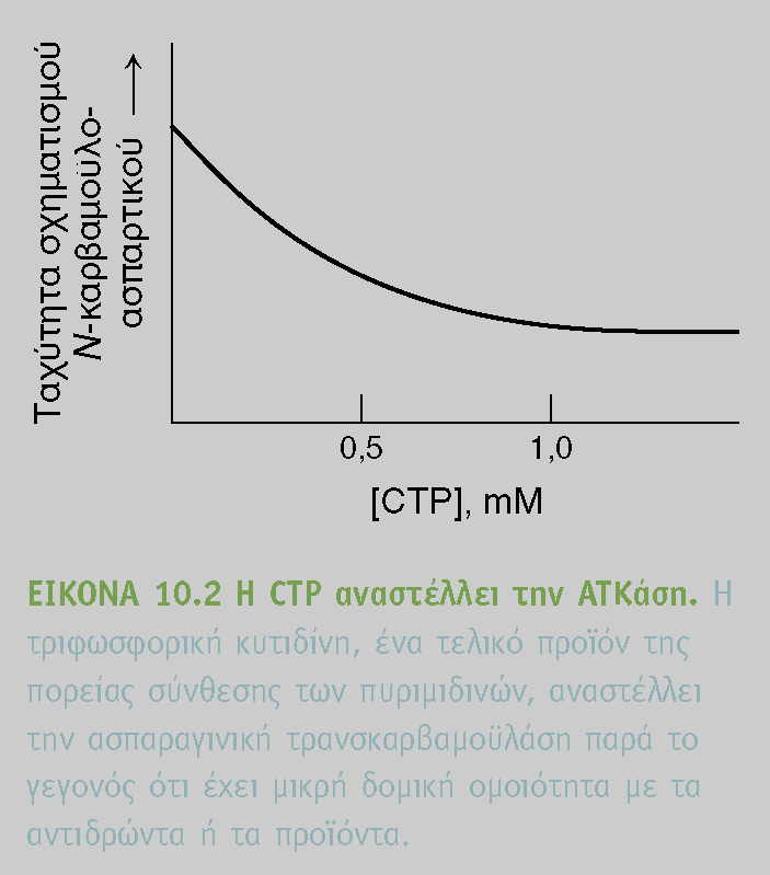 Παράδειγμα ασπαραγινικής τρασκαρβαμοϋλάσης Το τελικό προϊόν της μεταβολικής πορείας, (3-4 βήματα μετά την αρχική καταλυμένη Αντίδραση) αναστέλλει την αρχική