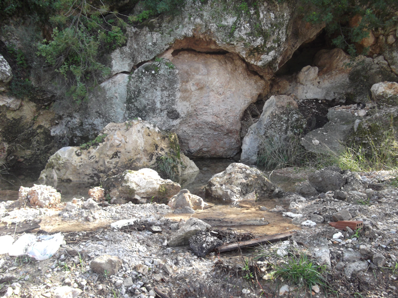 Φωτό 4: Πηγή Νερόλακκος Ζάστανη, 25 Φεβρουαρίου 2013 Η κατάσταση όµως, στην οποία βρίσκεται η πηγή νερόλακκος, είναι άθλια, µε το χώρο που καταλαµβάνει η σπηλιά και ο λάκκος