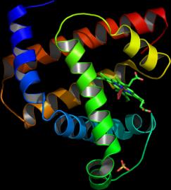 A sequence of aminoacids Antibodies (Ab) exhibit a high selectivity for a specific antigen (Ag).