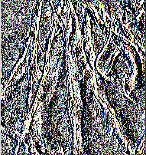Νηματώδεις: Οι νηματώδεις που προκαλούν σοβαρές ζημιές στη μπάμια ανήκουν στα γένη Meloidogyne (root knot) και Belonolaimus sp. (string).