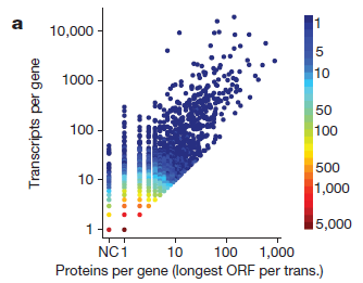 Ανάλυση RNA στη γονιδιωματική 4 (5/7) Diversity and dynamics of the Drosophila transcriptome Nature 512, 393 399 (28 August 2014) Αναλύθηκαν 29 ιστοί, 24 κυτταρικές σειρές και 21 διαφορετικά άτομα