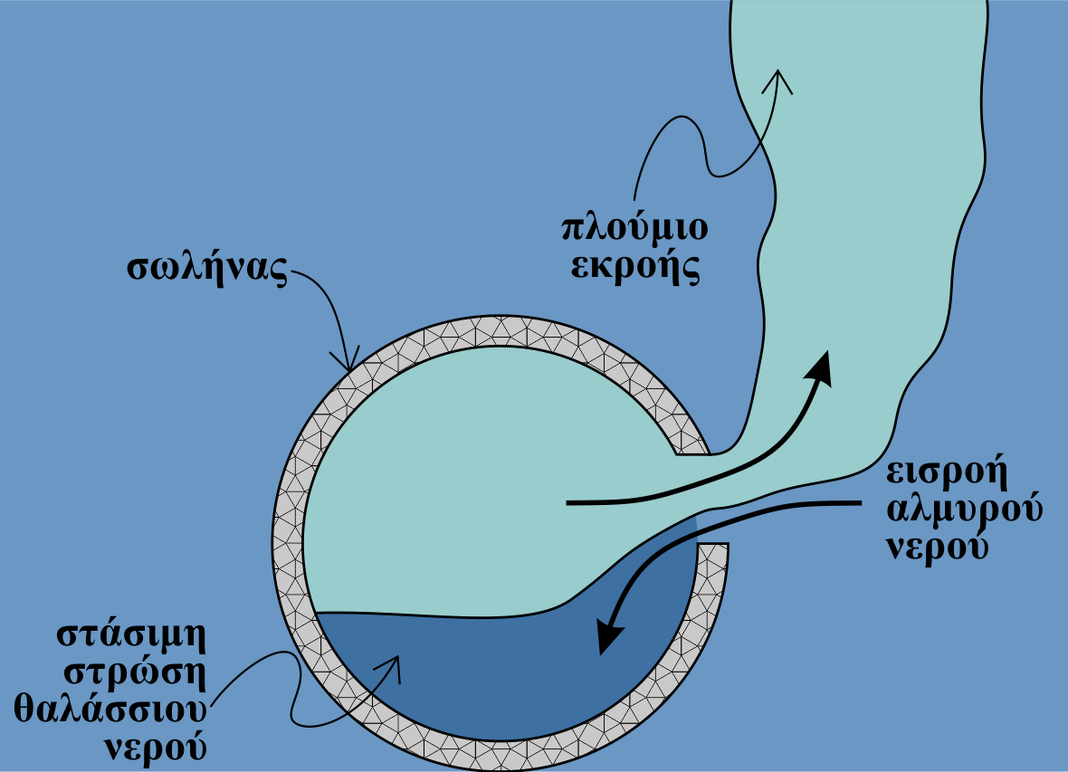 Σχήμα 7.12 Σχηματική αναπαράσταση (σε εγκάρσια διατομή) της εισροής αλμυρού νερού από το θαλάσσιο περιβάλλον στον αγωγό/διαχυτήρα με αποτέλεσμα τη δημιουργία στάσιμης στρώσης με αλμυρό νερό εντός του.