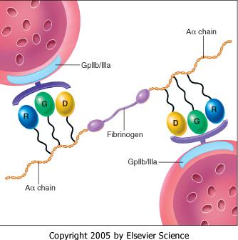 Platelet Aggregation 0.5 μμ ADP 1.0 μμ ADP 2.