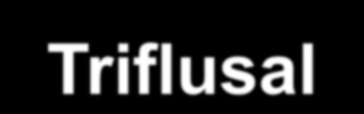 Triflusal C O O H O C O C H 3 C O O H O H C F 3 ACTIVE C F 3 ACTIVE T R I F L U S A L H T B C O O H O C O C H 3 C O O H O H ACTIVE