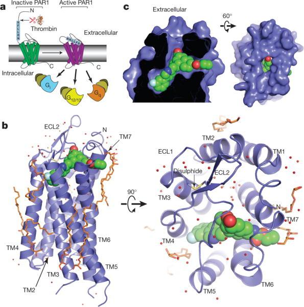 Leonardi S, et al.