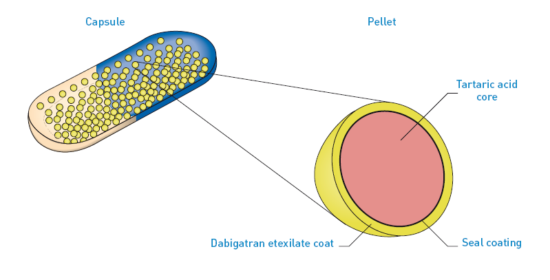 Η δομή της κάψουλας του dabigatran etexilate Κάψουλα Σφαιρίδιο Πυρήνας από ταρταρικό οξύ Επένδυση Dabigatran etexilate Στρώμα επίστρωσης Η παραγωγή όξινου μικροπεριβάλλοντος από τον