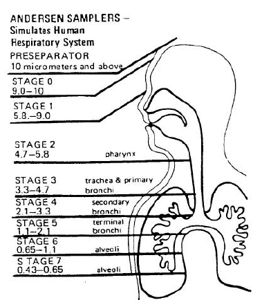 Εικόνα 23 Σχηματική απεικόνιση και παραλληλισμός της κατανομής μεγέθους των σωματιδίων στα οκτώ στάδια του δειγματολήπτη πρόσκρουσης Andersen, με τα στάδια του αναπνευστικού συστήματος (από το