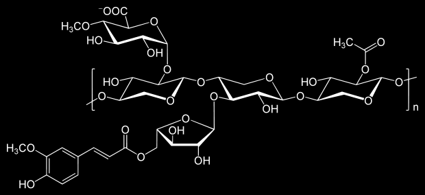 β-γλουκάνη κριθαριού (barley b-glucan): Εικόνα 25: Δομή της β-γλουκάνης κριθαριού.