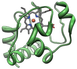 UPGMA nd Example (1/15) Η πρωτεΐνη cytochrome C εκφράζεται σε 7 διαφορετικούς οργανισμούς (A, B, C, D, E, F, & G).