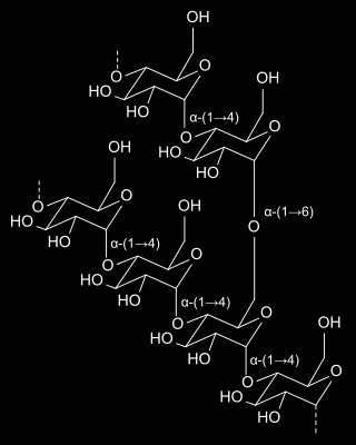 Οι δεξτρίνες είναι μία ομάδα υδατανθράκων χαμηλού μοριακού βάρους που παράγονται από την υδρόλυση του αμύλου ή του γλυκογόνου.