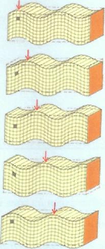Σχήμα 2-1 Αριστερά: Διαμήκη κύματα. Δεξιά: Εγκάρσια κύματα. Κύματα πλακών ή κύματα Lamb είναι ένας τύπος κύματος που αποτελεί ουσιαστικά συνδυασμό διαμηκών και εγκαρσίων κυμάτων.