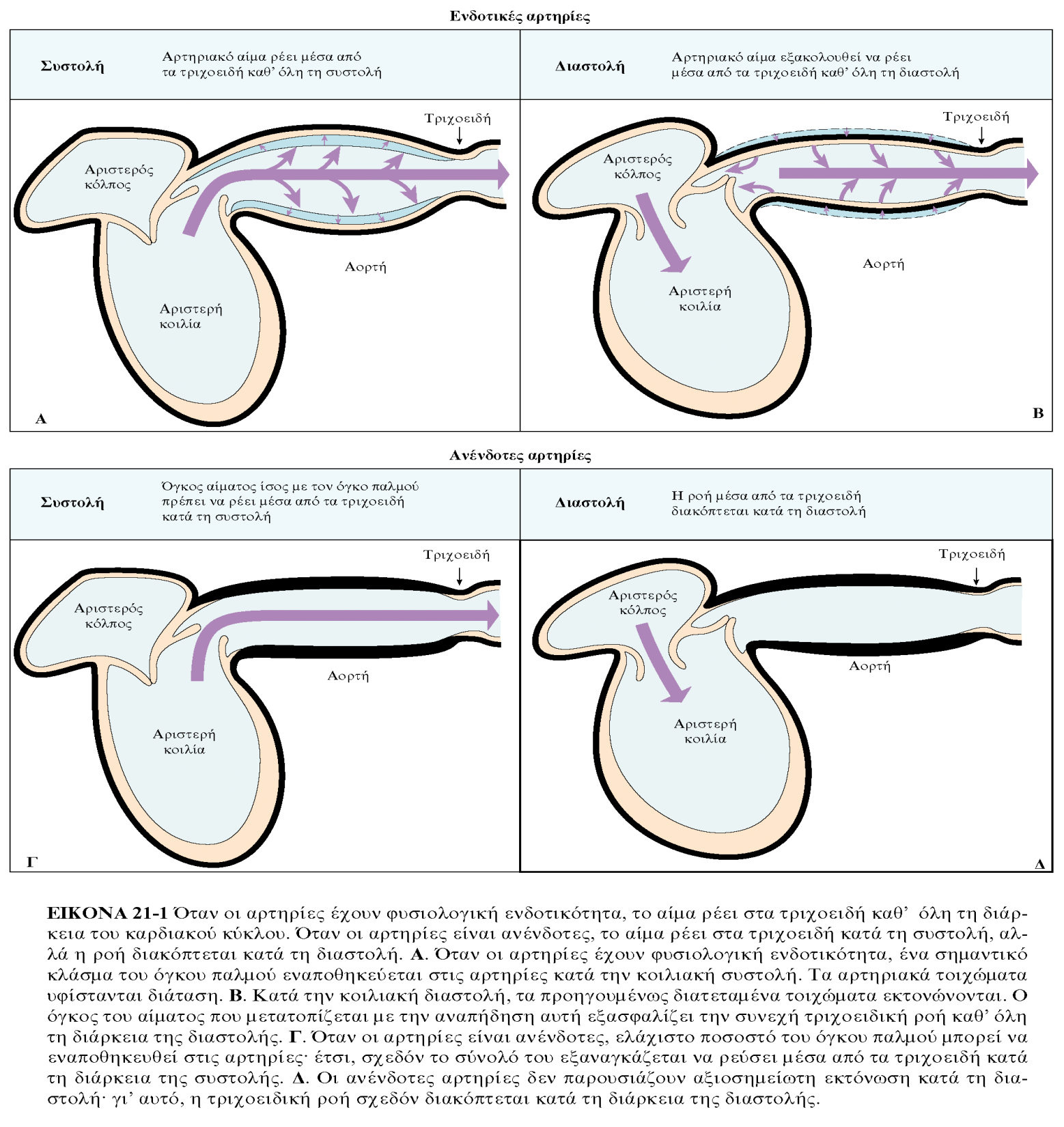 APXEΣ ΦYΣIOΛOΓIAΣ, TOMOΣ I ΠANEΠIΣTHMIAKEΣ EKΔOΣEIΣ KPHTHΣ Όταν οι αρτηρίες είναι ενδοτικές το αίμα ρέει στα τροχοειδή καθ όλη τη διάρκεια του καρδιακού κύκλου((α,β) Όταν οι αρτηρίες είναι ανένδοτες