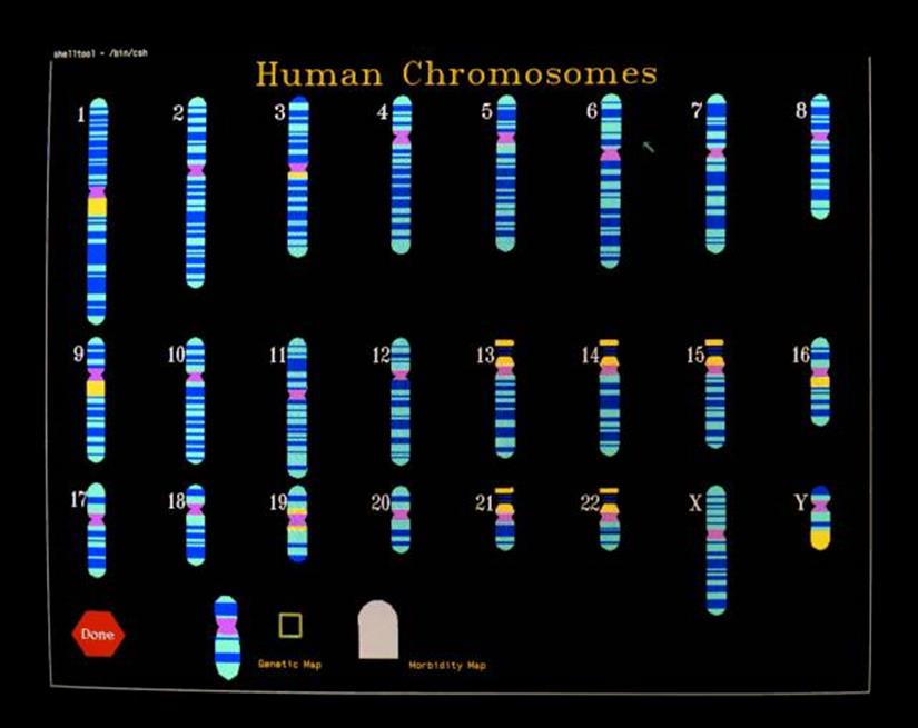 Human genome project (1990-2003) 20.000 