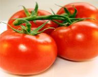 Tomato Domates Roşie Ντομάτα