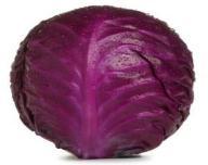 Cabbage lahana Varză