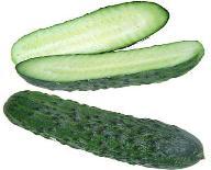 Cucumber Salatalık Castravete