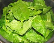 Salad Salata Salată Σαλάτα