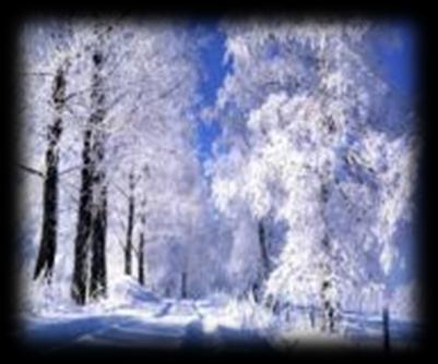 Winter Kış Iarna Χειμώνας