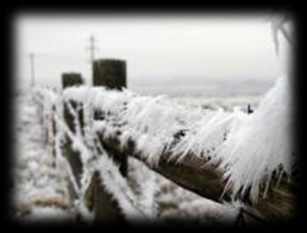 Frostiness Çok Soğuk Ger