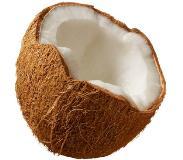 Coconut Hindistan cevizi Nucă de cocos