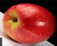 Apple Elma Măr Μήλο