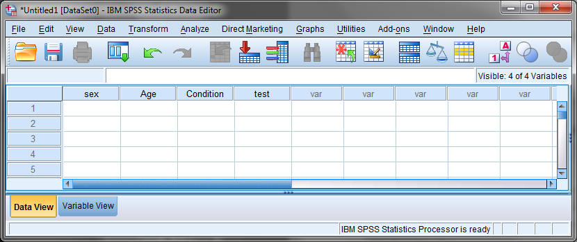 Η Προβολή Data View Εφόσον οι μεταβλητές μας είναι ήδη ορισμένες στην προβολή Variable View μπορούμε πλέον να εισάγουμε τις τιμές σε αυτές. Η εισαγωγή των τιμών γίνεται από την προβολή Data View.