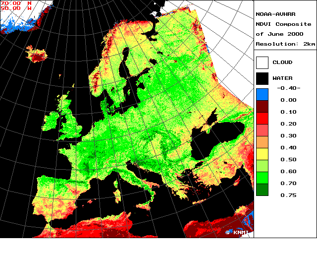 φυτοκάλυψης. ΤΙ ΜΠΟΡΕΙ ΝΑ ΚANEI ΕΝΑΣ ΔΕΙΚΤΗΣ ΒΛΑΣΤΗΣΗΣ; Να καταγράψει το ποσό της βλάστησης ( π.χ.