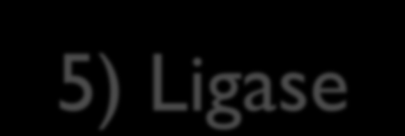 5) Ligase Juga dikenali sebagai sintetase.