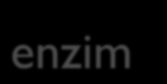 Faktor-faktor yang mempengaruhi aktiviti enzim Faktor yang mempengaruhi akan
