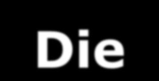 Macrophages Invade Visceral Adipose Tissue When Adipocytes Die Dead Adipocyte Weight Gain Obesity Lean