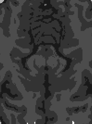 t r r r t t tt r t t r t r r tr t s t r s ts t t