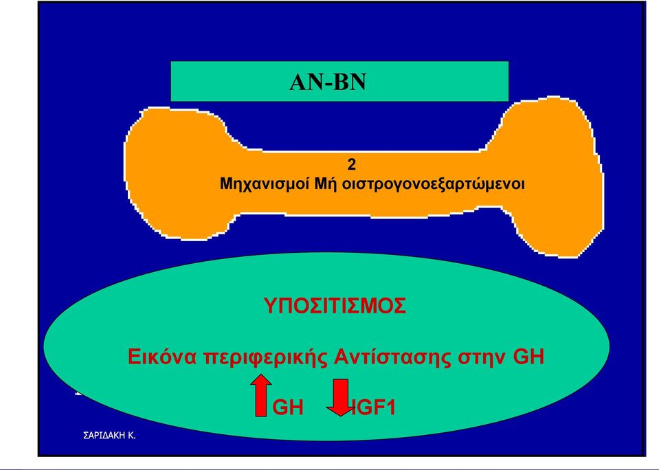 ΤΠΟΗΣΗΜΟ Δηθόλα