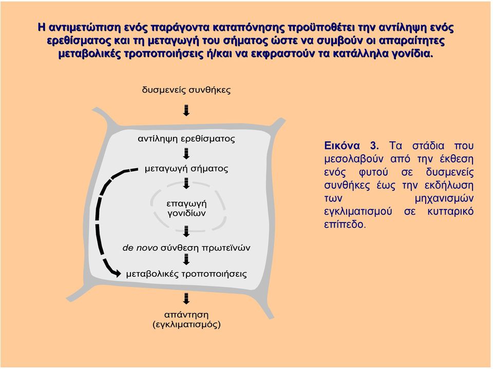 εκφραστούν τα κατάλληλα γονίδια. Εικόνα 3.