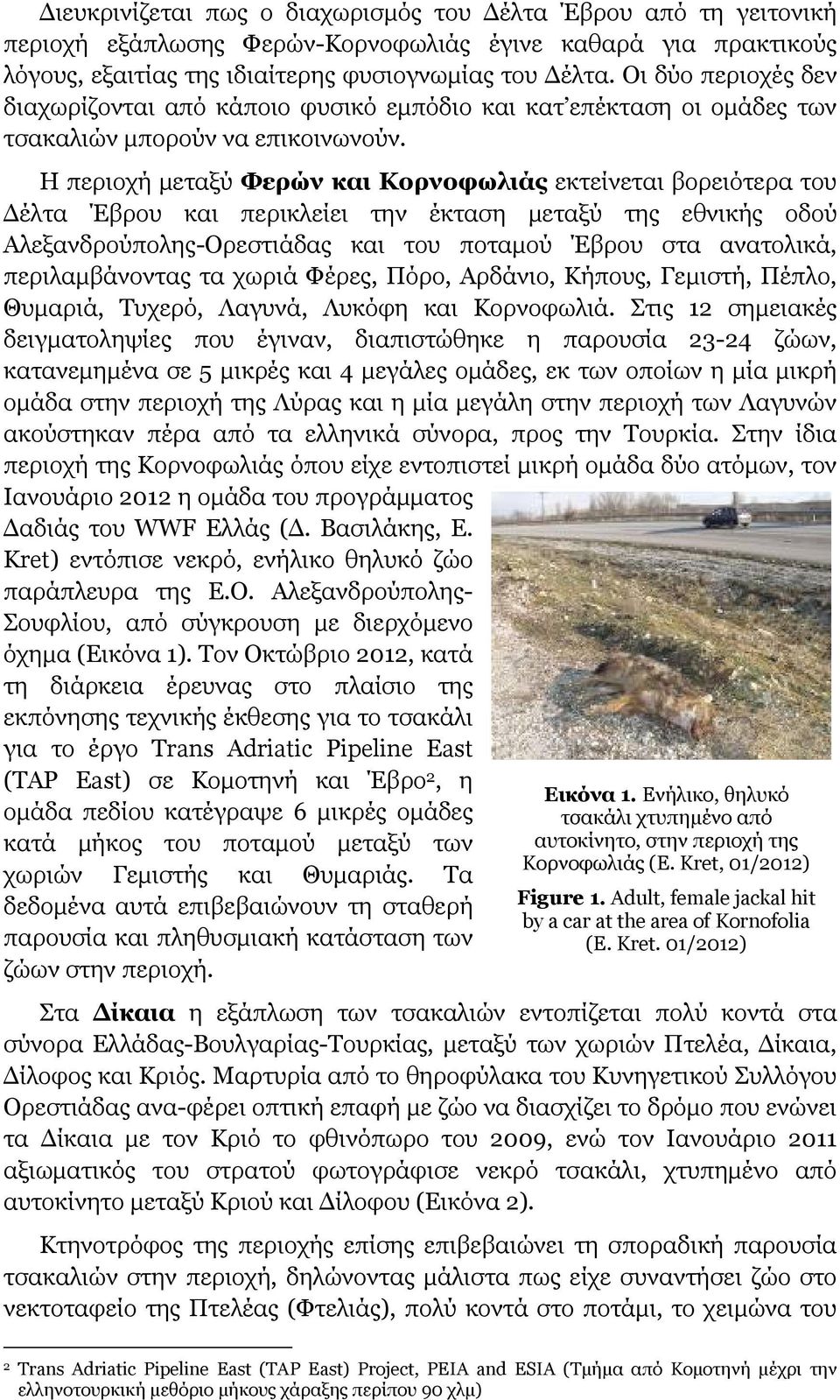 Η περιοχή μεταξύ Φερών και Κορνοφωλιάς εκτείνεται βορειότερα του Δέλτα Έβρου και περικλείει την έκταση μεταξύ της εθνικής οδού Αλεξανδρούπολης-Ορεστιάδας και του ποταμού Έβρου στα ανατολικά,