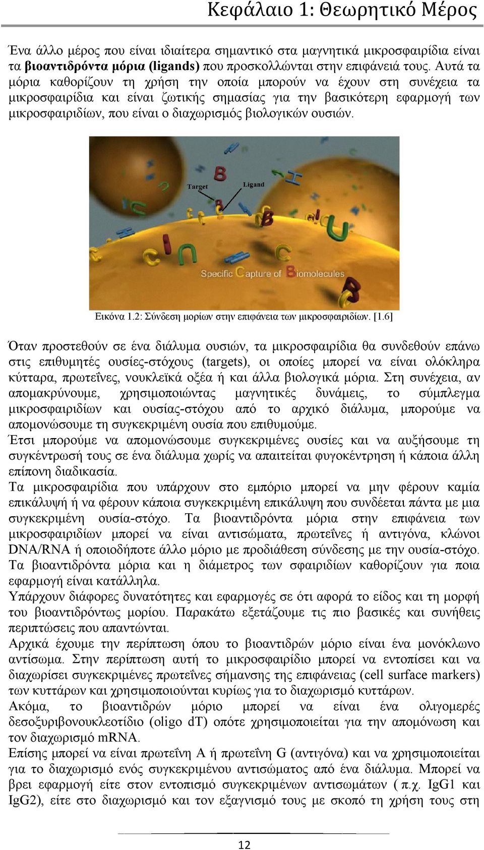 βηνινγηθψλ νπζηψλ. Δηθφλα 1.2: χλδεζε κνξίσλ ζηελ επηθάλεηα ησλ κηθξνζθαηξηδίσλ. [1.