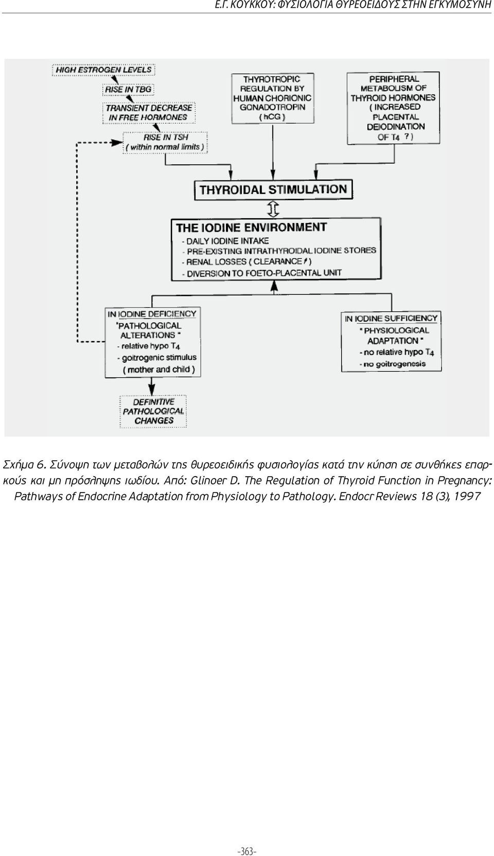 επαρκούς και µη πρόσληψης ιωδίου. Από: Glinoer D.