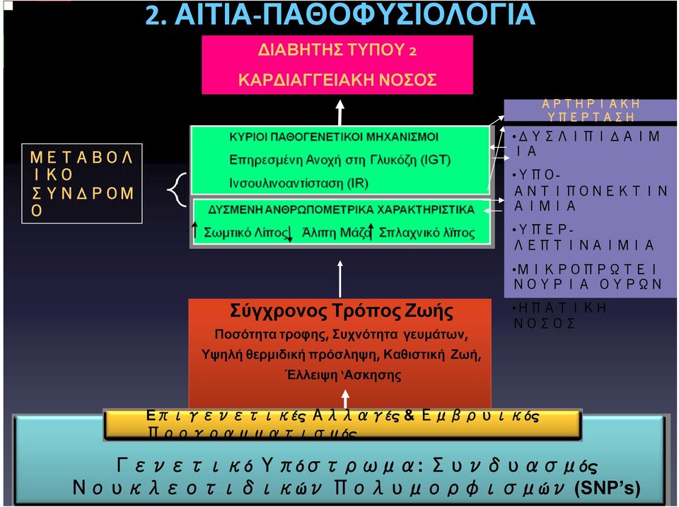 γευμάτων, Υψηλή θερμιδική πρόσληψη, Καθιστική Ζωή, Έλλειψη Ασκησης ΜΕΤΑΒΟΛΙΚΕΣ ΑΡΤΗΡΙΑΚΗ ΑΝΩΜΑΛΙΕΣ ΥΠΕΡΤΑΣΗ