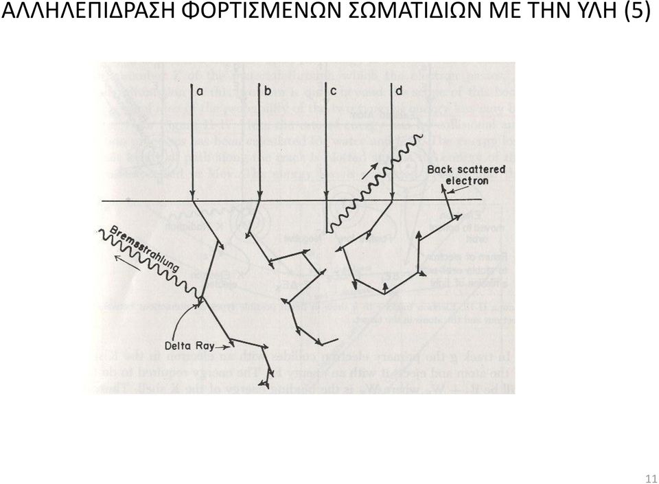 ΣΩΜΑΤΙΔΙΩΝ ΜΕ