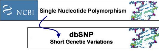 org) Γονιδιακή Έκφραση: GeneExpression Omnibus (GEO, http://www.ncbi.nlm.nih.gov/geo/) Array Express (http://www.ebi.ac.