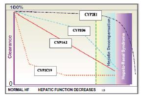 ΔΙΑΤΑΡΑΧΗ ΤΗΣ ΛΕΙΤΟΥΡΓΙΚΟΤΗΤΑΣ ΤΩΝ CYP ΑΝΑΛΟΓΑ ΜΕ ΤΟΝ ΒΑΘΜΟ ΤΗΣ ΗΠΑΤΙΚΗΣ ΑΝΕΠΑΡΚΕΙΑΣ Μερικά ισοένζυμα CYP επηρεάζονται περισσότερο από άλλα στην ηπατική