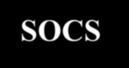 ΠΡΟΣ ΠΟΛΥΕΠΕΞΕΡΓΑΣΤΙΚΑ SOCS Η συσσωρευμένη πολυπλοκότητα των SoC σχεδίων, καθώς το κόστος και ο συνολικός αριθμός πυλών αυξάνει, δημιουργεί απαίτηση για γρηγορότερα αρχικά σχέδια και μεγαλύτερη