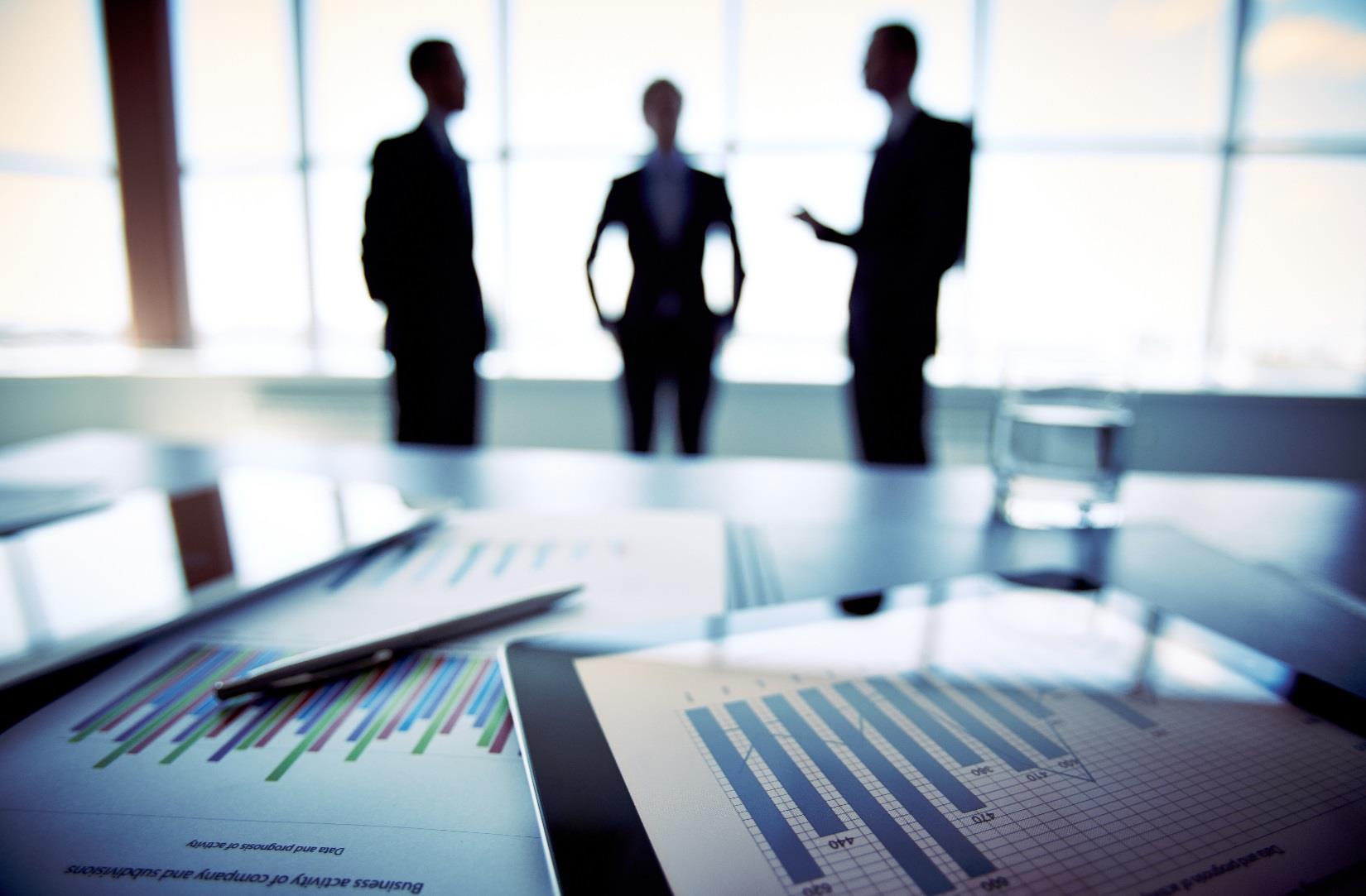 It is not intended to be a substitute for detailed research or the exercise of professional judgement.