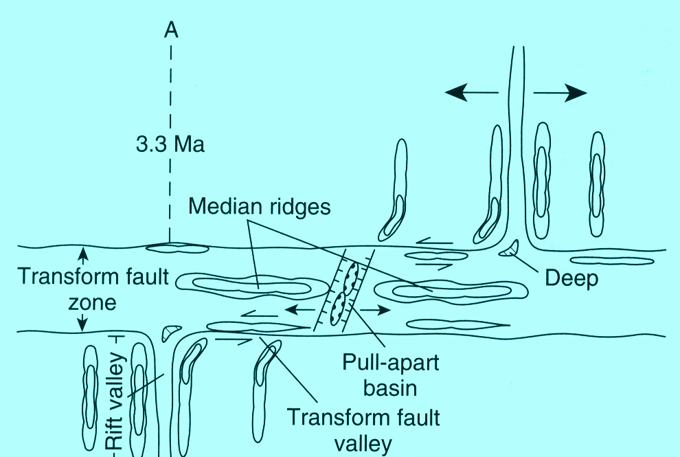 Εικόνα 5.14 Μορφοτεκτονικά χαρακτηριστικά ρηξιγενών ζωνών µετασχηµατισµού που συνδέουν ράχεις µε αργό ρυθµό διάνοιξης (< 5 cm/yr).